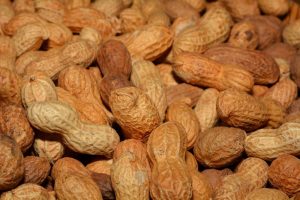 ESPECIAL: Câmara Setorial do Amendoim atua com visão empresarial para fortalecer o agronegócio