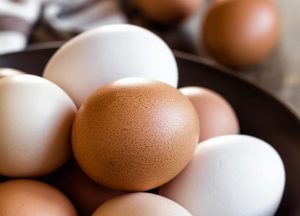 Secretaria de Agricultura instala Câmara Setorial do Ovo e Derivados