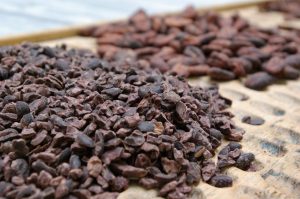 Dia mundial do chocolate é celebrado pelas instituições da Secretaria de Agricultura com resultados técnicos-científicos