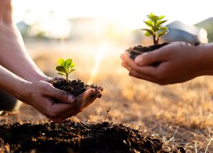 AGRISHOW 2024: Secretaria de Agricultura libera R$ 100 milhões para seguro rural, maior valor da história de SP