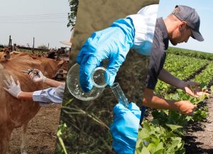 Secretaria de Agricultura e Abastecimento de SP atinge metas e servidores são reconhecidos