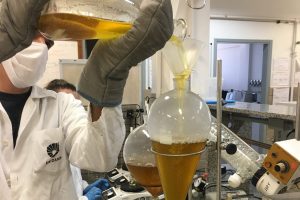 Núcleo de pesquisa liderado pelo Ital seleciona bolsista de pós-doc na Unicamp