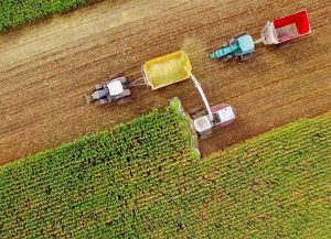 BALANÇA COMERCIAL: Agro Paulista registra superávit de 9,7% nos sete primeiros meses do ano