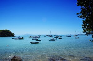 Projeto do Instituto de Pesca recebe certificado do Ibama