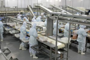 SISBI – Abatedouros de São Paulo são liberados para solicitar adesão ao Sistema Brasileiro de Inspeção de Produtos de Origem Animal