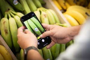 FRUIT ATTRACTION – Oito empresas paulistas do setor de frutas participam de feira internacional em Madri