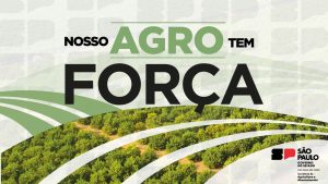 Solidariedade: Agronegócio paulista promove campanha emergencial para o Rio Grande do Sul