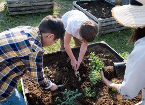Em parceria com a Unesco, Secretaria de Agricultura quer ampliar a sustentabilidade no campo