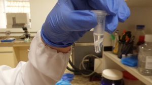 CURSO DO IZ ENSINA A APLICAÇÃO DA TÉCNICA DE PCR QUANTITATIVA