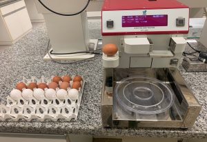 IZ comemora Dia do Ovo com pesquisas e serviços que contribuem para melhor qualidade do alimento e bem-estar animal