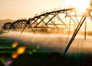 AGRISHOW 2024: Decreto da Secretaria de Agricultura visa dobrar irrigação nas lavouras paulistas