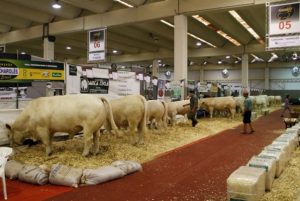 AGRISHOW 2024: Secretaria de Agricultura de São Paulo anuncia retorno da FEICORTE