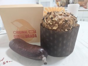 Apta Regional impulsiona o desenvolvimento da cadeia produtiva do Jatobá