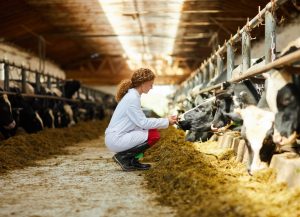 Dia Nacional do Pecuarista: cresce participação feminina no setor que movimenta a economia do País