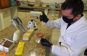 IZ realiza capacitação voltada à técnica de PCR Convencional