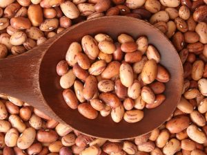 DIA DO FEIJÃO: Variedade carioca tem origem paulista e é o preferido do brasileiro