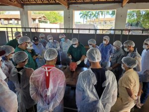 IZ sedia treinamento para Métodos de Diagnóstico e Controle de Brucelose e Tuberculose Animal