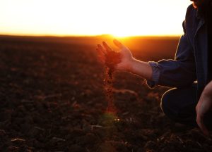Dia Nacional da Conservação do Solo: IZ destaca importante pesquisa sobre o tema