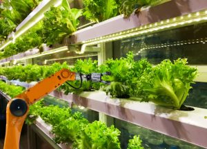 Agricultura brasileira utiliza robôs para solucionar gargalos da produção