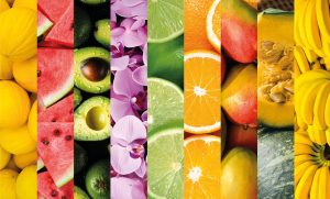 Inscrições abertas para o LXIII curso de habilitação para emissão de CFO/CFOC