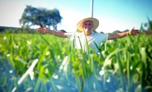 Governo de SP beneficia mais de 200 projetos de produtores rurais que preservam o meio ambiente