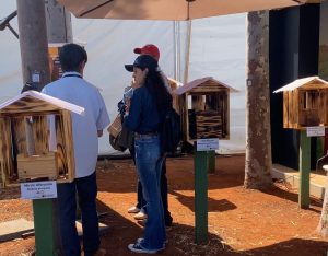 AGRISHOW 2024: Abelhas sem ferrão fazem sucesso no estande da CATI