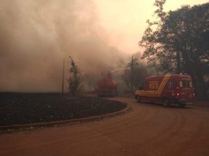 Operação SP Sem Fogo: Com previsão de até 39°C, áreas rurais seguem com risco de queimada