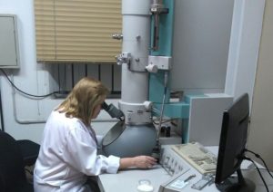 Projeto premiado do Instituto Biológico revoluciona diagnóstico de doenças virais em aves