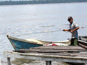 Pós em Ação! Estudo de aluna do Instituto de Pesca revela impactos do desastre de Brumadinho na Aquicultura e Pesca