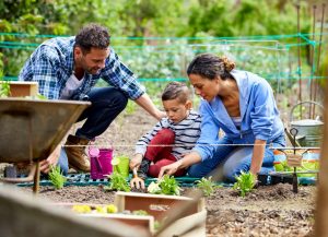 Programas da Secretaria de Agricultura de SP promovem o desenvolvimento sustentável e incentivam a agricultura familiar