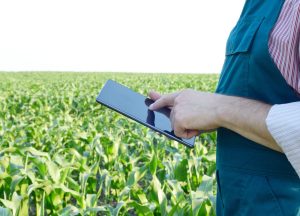 AGRISHOW 2024: Governo de SP anuncia R$ 500 milhões de aporte ao FIAGRO