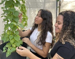 Prêmio “Victória Rossetti” é concedido a bolsista Pibic do IB