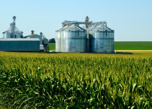 DIA DO AGRONEGÓCIO: Uma cadeia produtiva gigantesca que move a economia de São Paulo