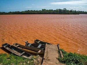 Instituto de Pesca atua na reparação de danos causados pelo desastre em Mariana (MG)