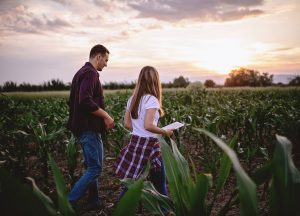 Censo Agropecuário e a abordagem de gênero das estatísticas rurais serão debatidos pelo Instituto de Economia Agrícola