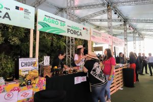 Produtores artesanais se preparam para o Arraiá da Vila, no Instituto Biológico