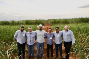 Secretário de Agricultura de SP realiza dia de campo no interior paulista