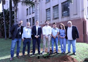 Secretaria de Agricultura lança programa em parceria com a iniciativa privada para impulsionar o café Canephora paulista