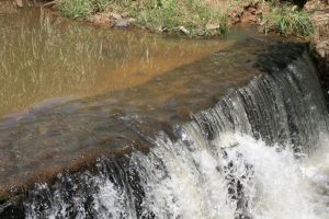90% da água usada na irrigação retorna ao ambiente pela transpiração das plantas