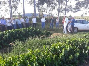 Secretaria de Agricultura destaca o  Dia Internacional do Café com os trabalhos da Pesquisa científica e Extensão Rural