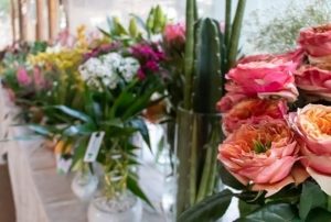 Valentine’s Day começa a se fixar no Brasil e aquece mercado de flores e plantas em fevereiro