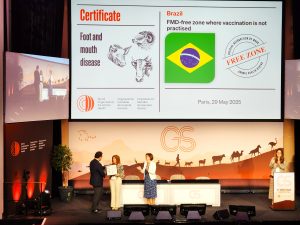 OMSA reconhece o Brasil como zona livre de Febre Aftosa sem vacinação