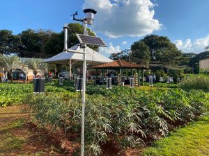 Produtor terá acesso gratuito a dados agrometeorológicos