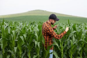 1° Encontro Regional do programa Agro Jovem acontece em Guararapes