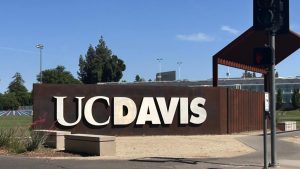 Brasil fortalece laços internacionais para reduzir emissões de metano na pecuária