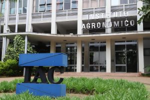 Instituto Agronômico completa 138 anos com produtos inéditos  