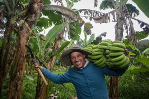 Histórias que evoluem: crédito rural ajuda sucessão familiar e crescimento no campo