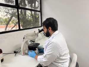 Mestrando do Instituto de Pesca estuda aspectos fisiológicos e potencial de transmissão viral em tilápias
