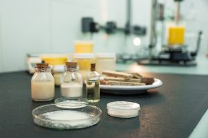 Pesquisadora do Ital é premiada por tecnologia que permite redução de gordura saturada em alimentos