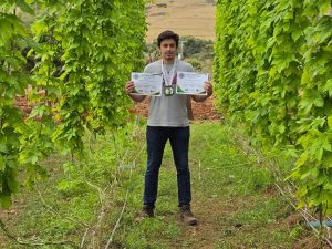 Da lavoura ao copo: lúpulo de SP ganha espaço na produção artesanal